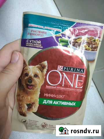 Purina one для собак мелких пород Курчатов - изображение 1
