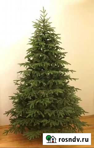Литая искусственная ёлка Москва - изображение 1