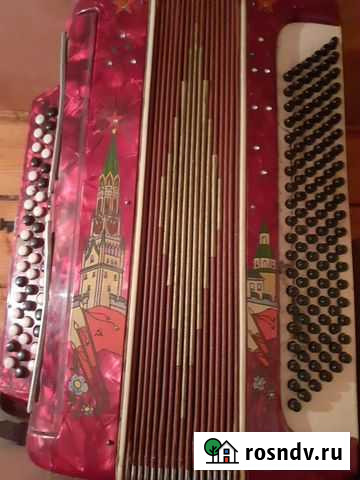 Баян Барнаул - изображение 1