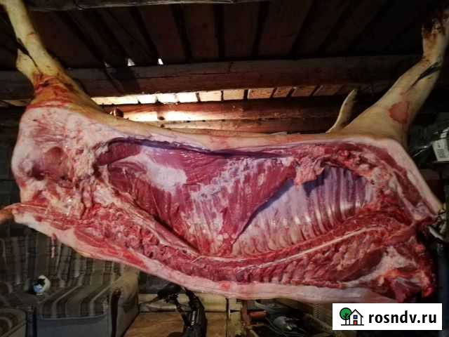 Свинина домашняя Шахты - изображение 1