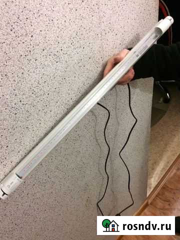 Фитолампа для растений Чернушка - изображение 1