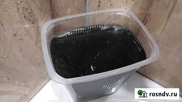 Аквариумные рыбки и растения Вологда - изображение 1