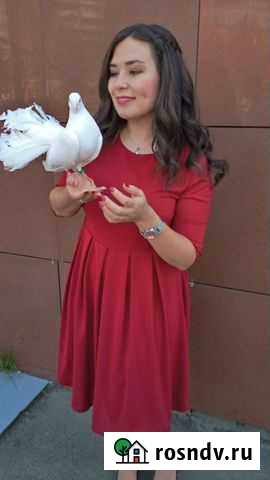 Ремонт и пошив одежды Челябинск - изображение 1