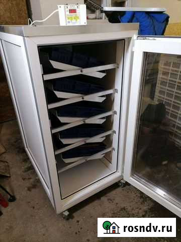 Инкубатор блиц база Камские Поляны - изображение 1