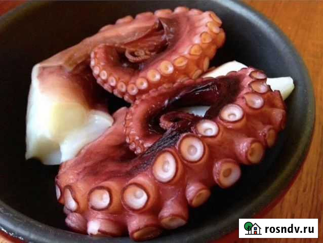 Щупальца осьминога копченые Дзержинск - изображение 1