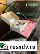 Ремонт сколов и трещин до 15см на лобовом стекле Сыктывкар - изображение 1