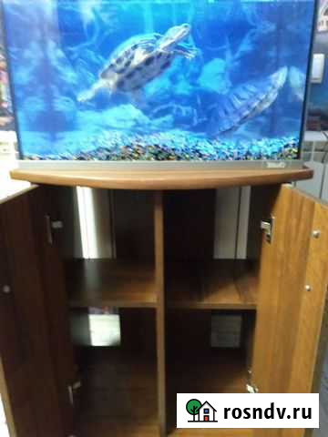 Аквариум Лыткарино - изображение 1