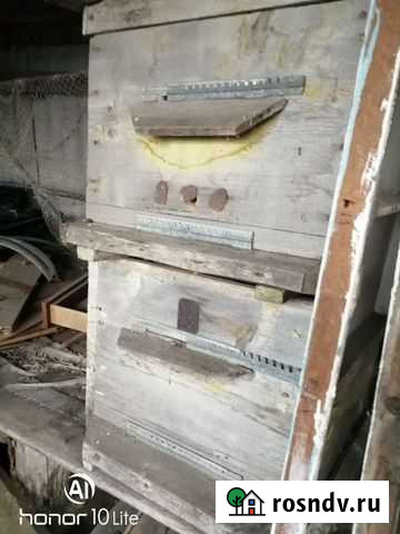 Улий Подгоренский - изображение 1