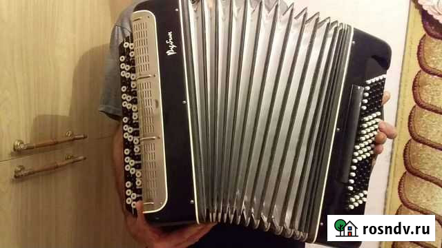 Баян Ростов-на-Дону - изображение 1