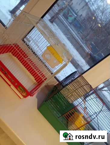 Клетка для грызунов Альметьевск - изображение 1