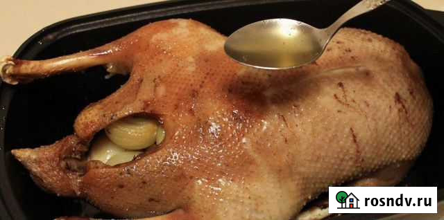 Гуси деревенские Бузулук - изображение 1