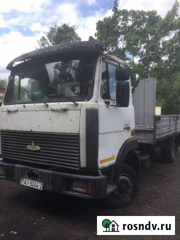 Маз 4370 зубренок Санкт-Петербург - изображение 1