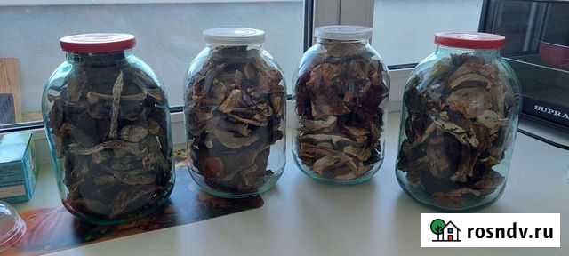 Сухие белые грибочки 2021г Иваново - изображение 1