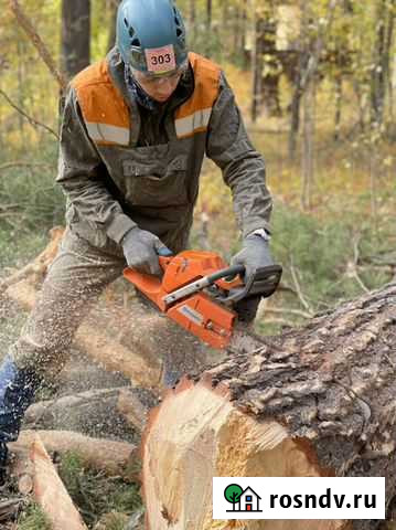 Спил и обрезка деревьев Тюмень - изображение 1