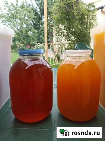 Мед Мурино - изображение 1