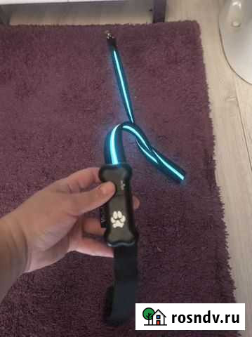 Поводок с подсветкой Звенигород - изображение 1