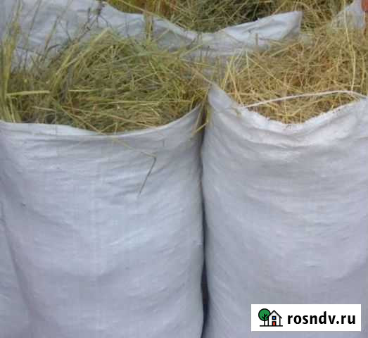 Сено в мешках Бор - изображение 1