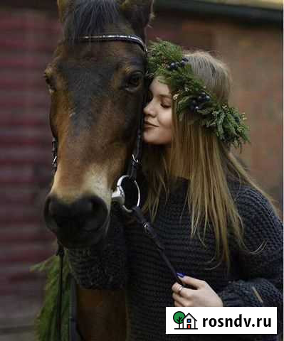 Фотограф Ростов-на-Дону - изображение 1