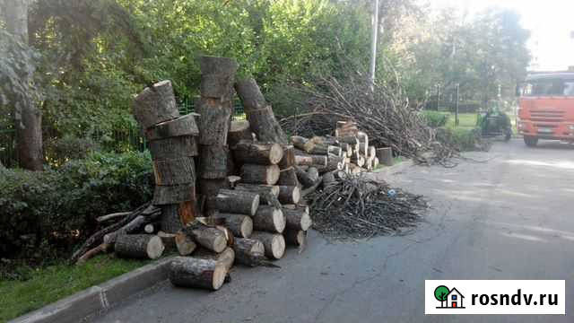 Удаление деревьев Спил деревьев Видное - изображение 1
