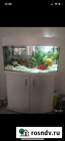 Аквариум 180 литров Сочи - изображение 1