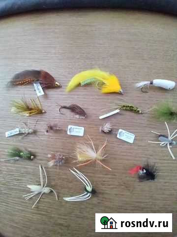 Охота и рыбалка Великий Новгород - изображение 1