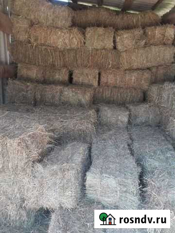 Сено Новоукраинский - изображение 1