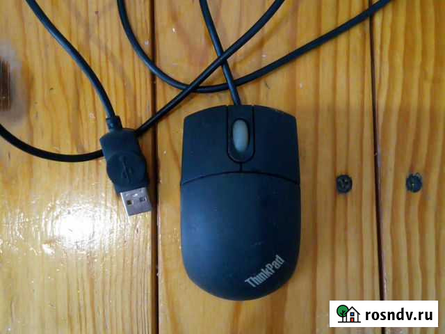 Мышь Бийск - изображение 1