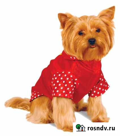 Дождевик-плащ для собаки Смоленск - изображение 1