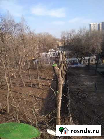 Спил и обрезка деревьев измельчение веток Симферополь - изображение 1