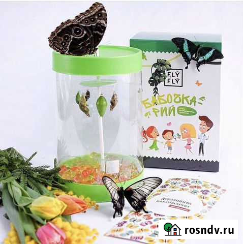 Ферма бабочек живые бабочки Казань - изображение 1