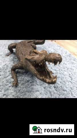 Чучело крокодила Тверь - изображение 1