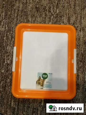 Лоток Петропавловск-Камчатский - изображение 1