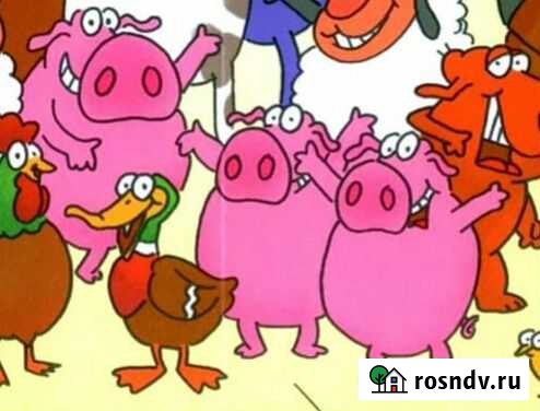 Мясо Славгород - изображение 1