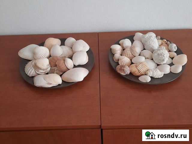 Раковина ракушка Малаховка - изображение 1