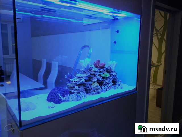 Аквариум для вас по размерам Кемерово - изображение 1