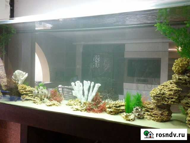 Аквариум по вашим параметрам Красноярск - изображение 1