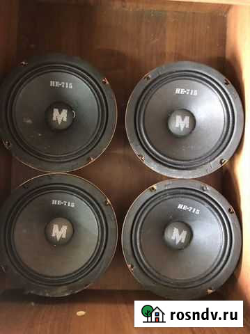Эстрадные колонки 16 momo HE-715 Тамбов - изображение 1