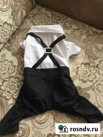 Одежда для собак Белая Калитва - изображение 1