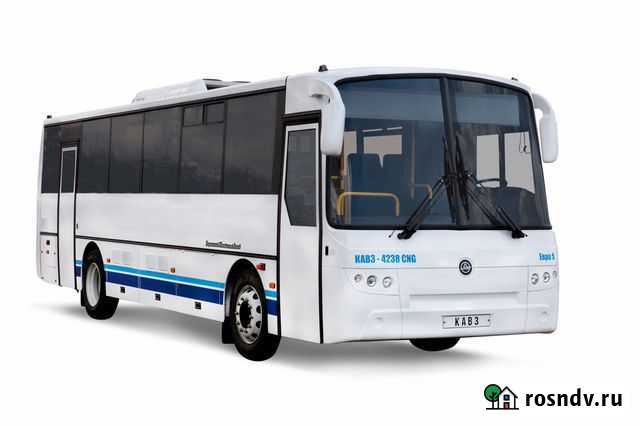 Междугородний / Пригородный автобус КАвЗ 4238-81 Воронеж - изображение 1