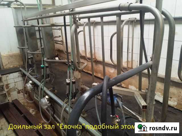 Доильный зал Елочка Белгород - изображение 1