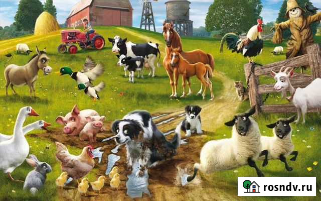 Рыбий жир для животных Новоуральск - изображение 1