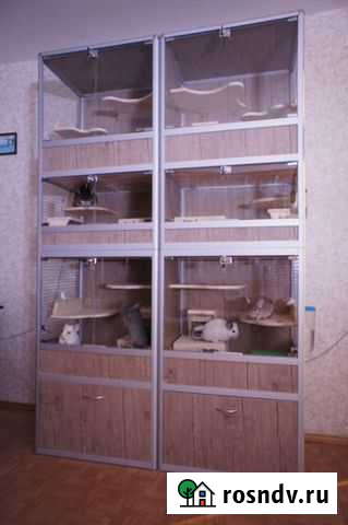 Клетка витрина для шиншилл Всеволожск - изображение 1