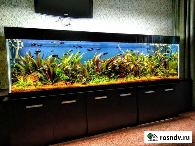 Изготовлю Аквариумы по вашим размерам Пенза - изображение 1