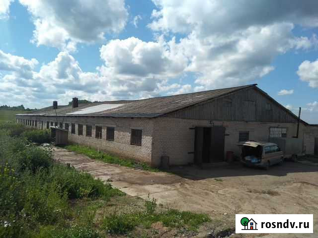Животноводческая ферма Мурыгино - изображение 1