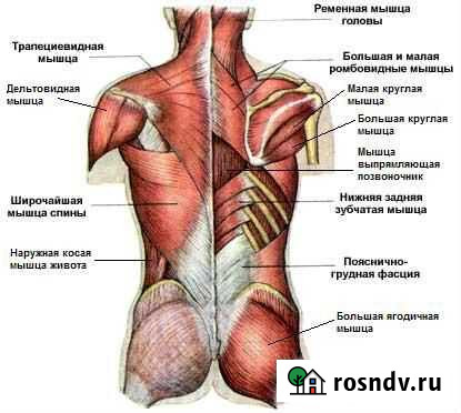 Массаж с натуральными маслами Астрахань - изображение 1
