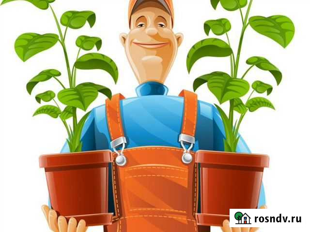 Грузчики Брянск - изображение 1