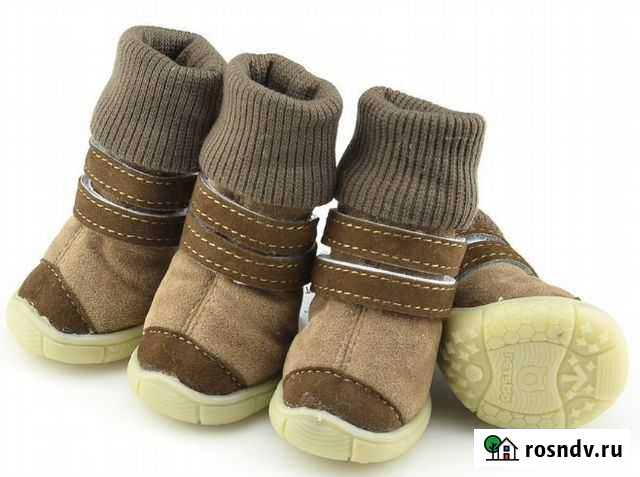 Обувь для собак Ярцево - изображение 1