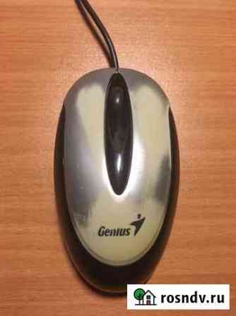 Мышь компьютерная Genius Волгоград