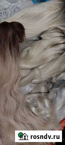 Парики Саратов - изображение 1