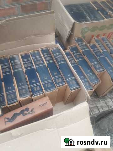 Сочинение Ленина Большой Лог - изображение 1